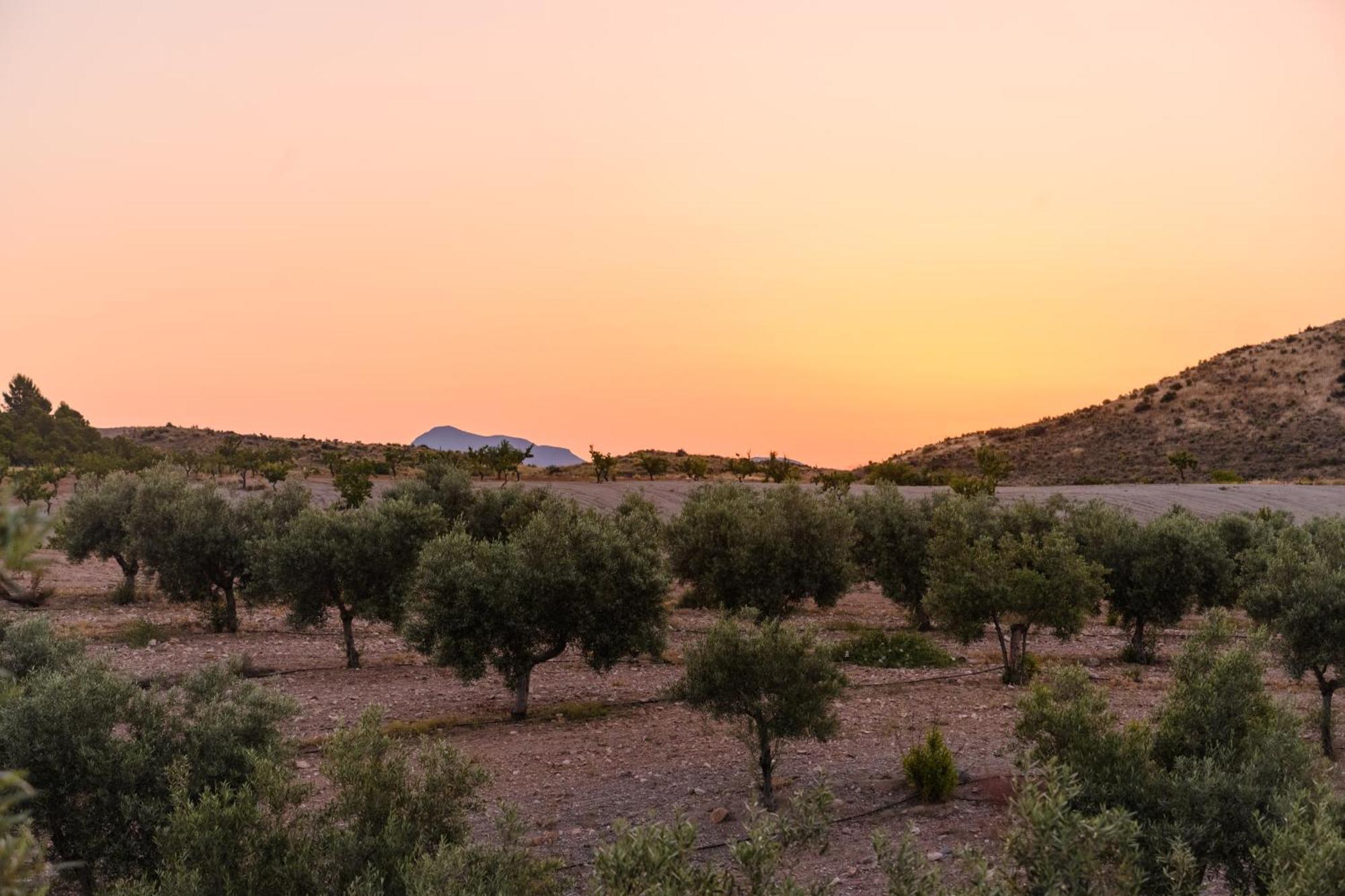 Complejo Rural Sol De Taberno ξενώνας Εξωτερικό φωτογραφία